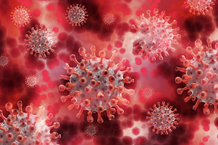 La infección por coronavirus deja anticuerpos durante varios meses. Foto: Pixabay