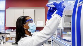 La Organización Mundial de la Salud estudia el coronavirus Mers. Foto: Efe. La Organización Mundial de la Salud estudia el coronavirus Mers. Foto: Efe.