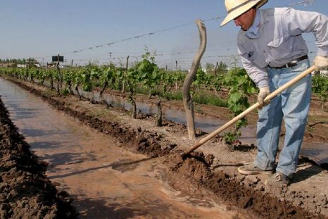 El FCA está dirigido a productores agrícolas con superficies cultivadas de hasta 30 hectáreas. Foto: Prensa Gobierno de Mendoza