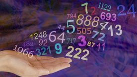 Los números de la suerte de hoy. Los números de la suerte de hoy.