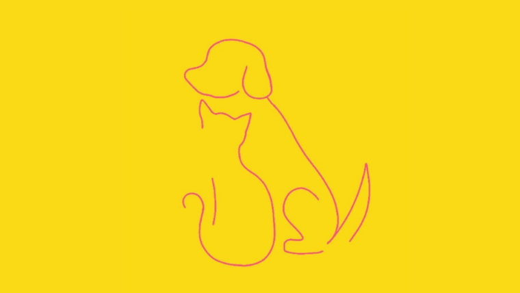 Test de personalidad