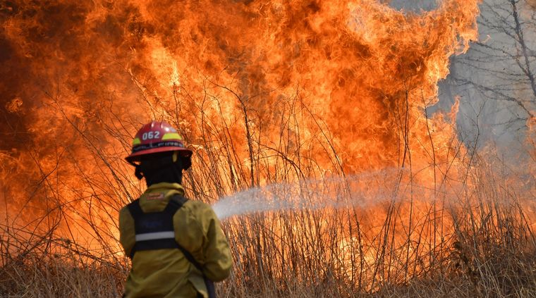 Imagen ilustrativa Foto: Télam