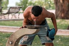 Foto: Santiago Tagua/MDZ