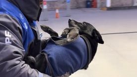 El divertido video viral fue grabado en una estación de servicio de Jujuy. Foto: Archivo El divertido video viral fue grabado en una estación de servicio de Jujuy. Foto: Archivo