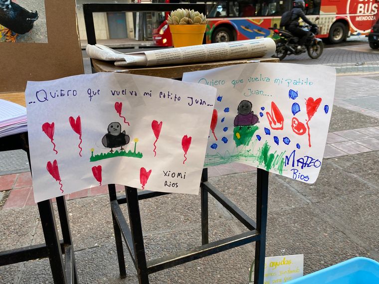 Los niños piden que vuelva el pato Juan Los niños piden que vuelva el pato Juan