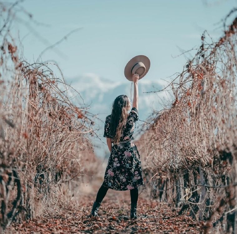 Mendoza ofrece un amplio abanico de alternativas para hacer en las bodegas Foto: Wineobs.com