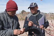 Encargados de finca podrán mejorar su gestión y comunicación con el equipo de trabajo. Foto: UNCuyo